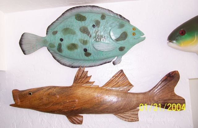 Flounder Natural Snook Woodenfish