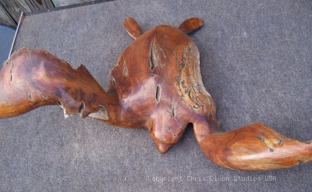 Loggerhead Turtle Woodcarving