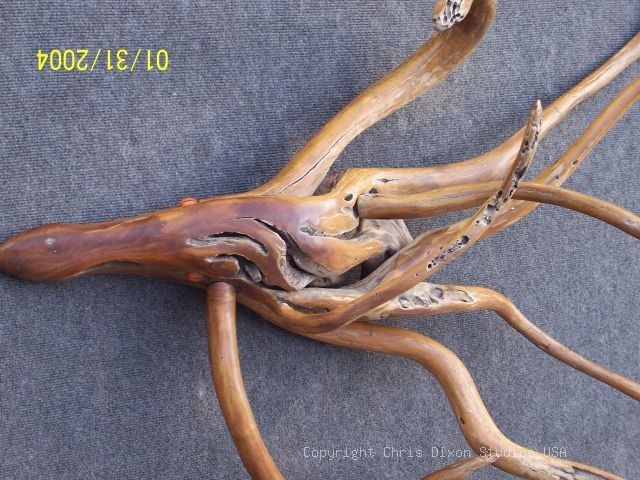 Octopus Woodcritter