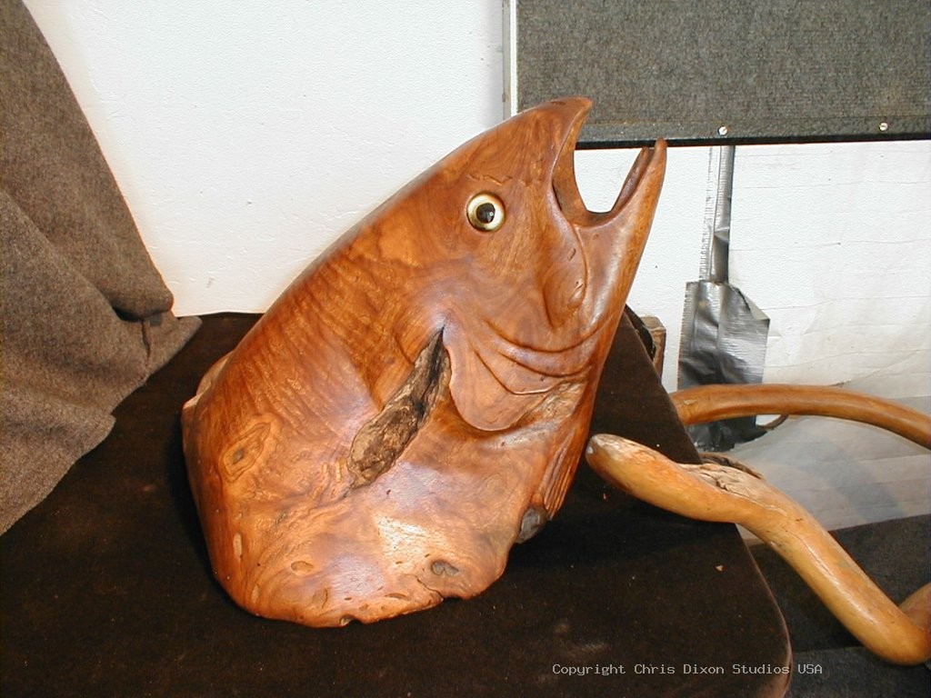 Salmon Head Wood