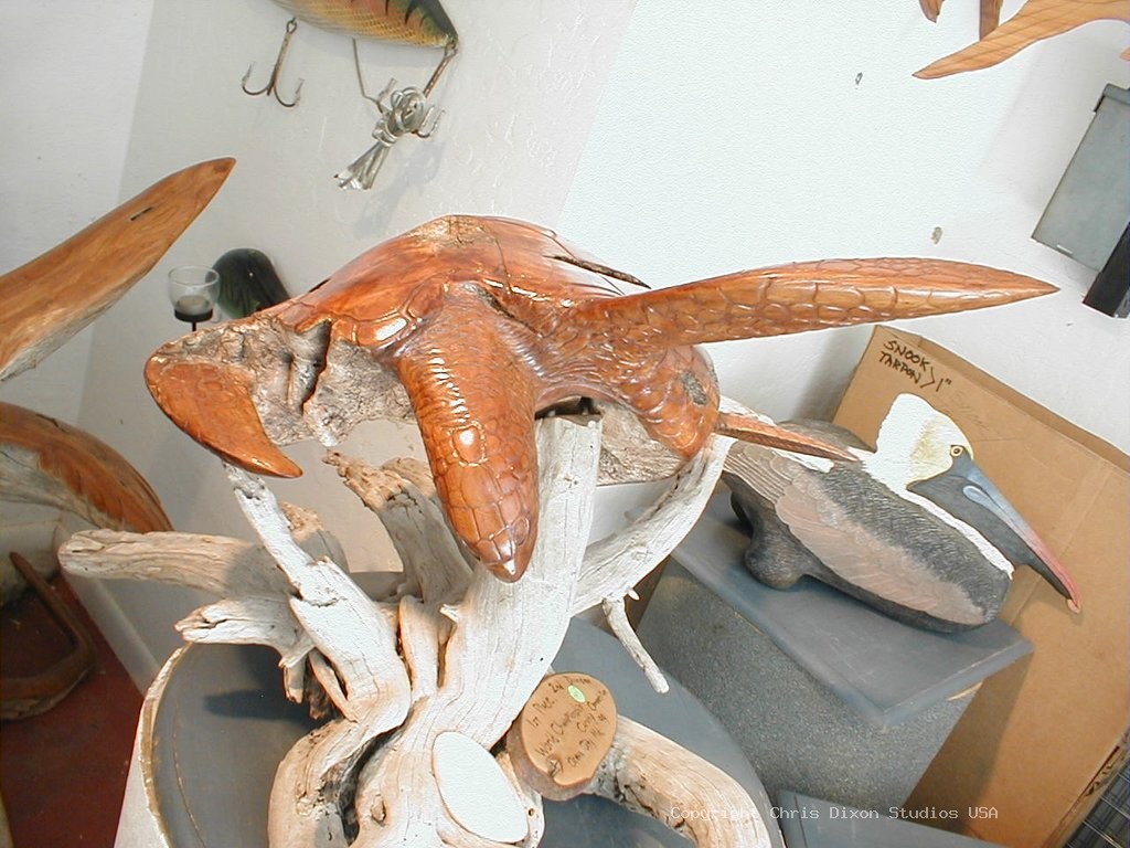 Seaturtle Wood