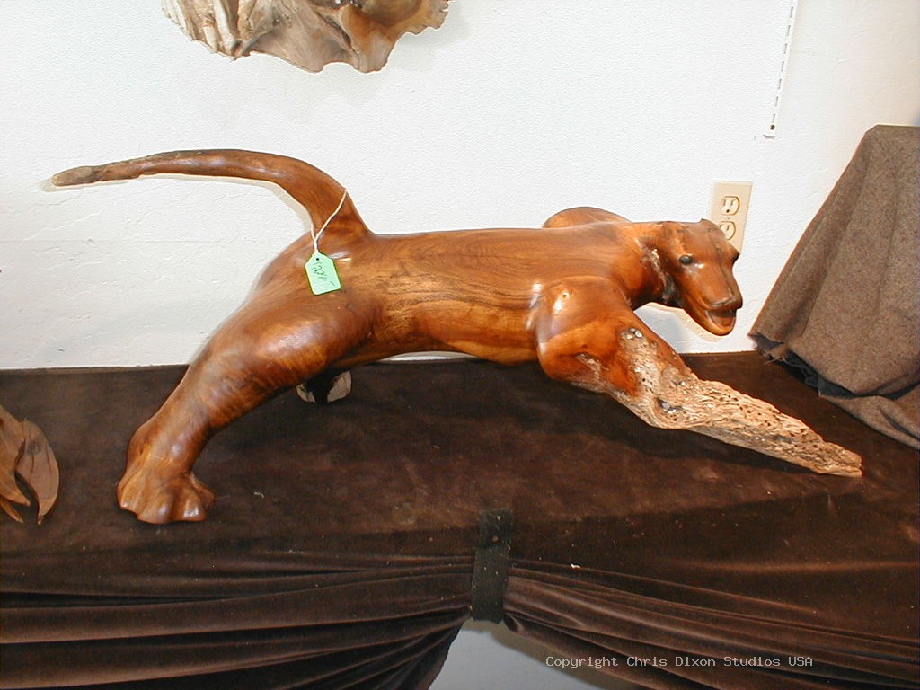 Wildwoodcat