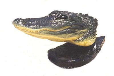 14 1 Alligator Head