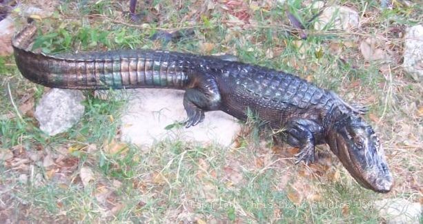 6ft Alligator Bronze2