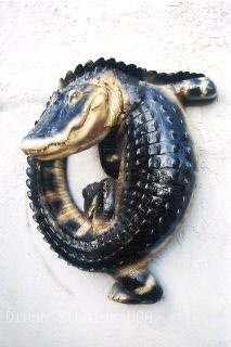 8ft Alligator Curled Wall
