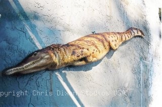 Crocadile Wall