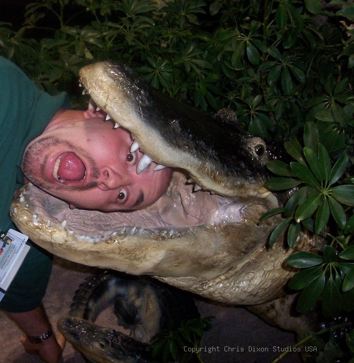 Ouch Markingatorhead