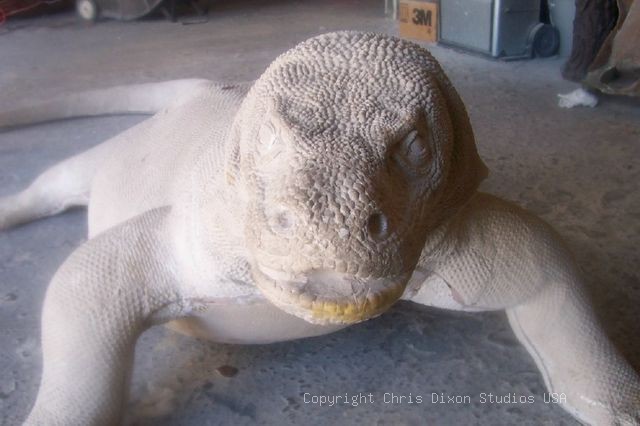 Komodo Dragon Face Unf