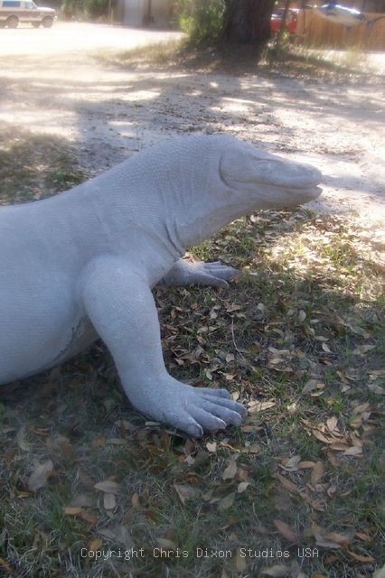 Komodo Dragon Half