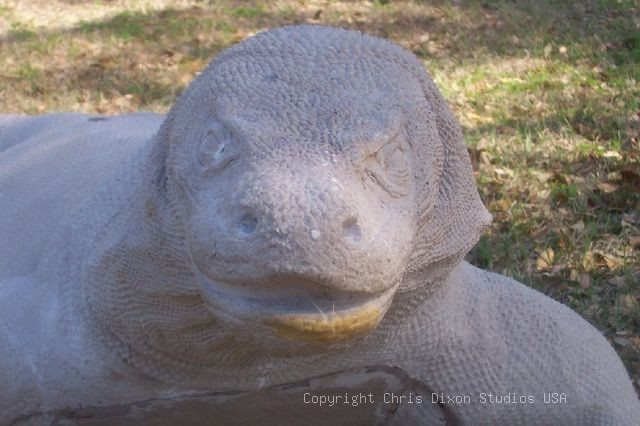 Komodo Dragon Headf