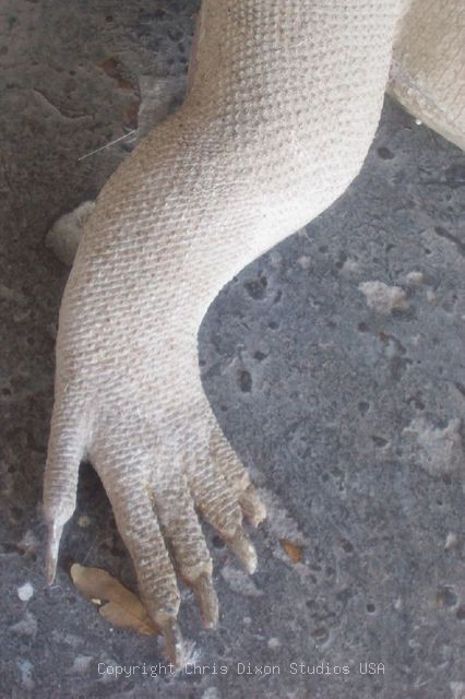 Komodo Dragon Leg