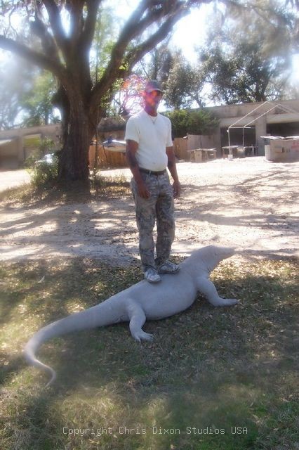 Komodo Dragon Strong