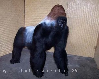 Silverback Gorilla Faux Fur