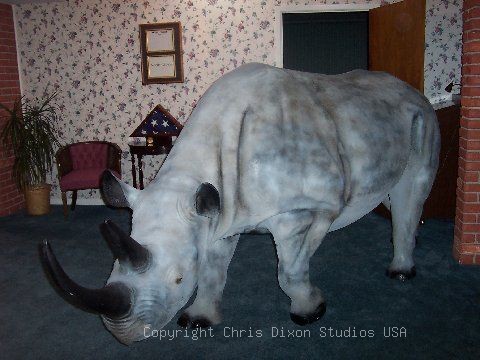 Rhinoceros Home