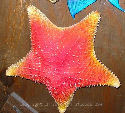 Bohemian Starfish