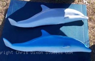 Dolphinfrom 2D