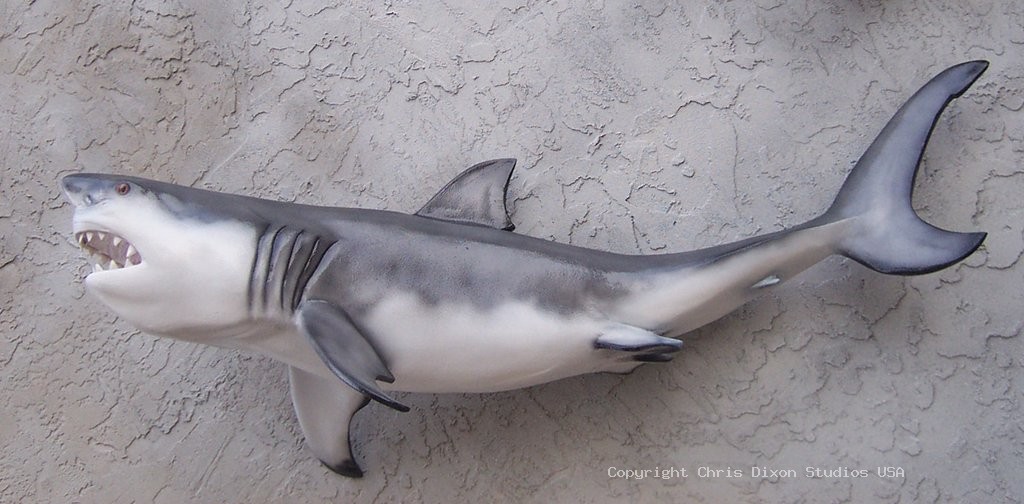Great White Shark