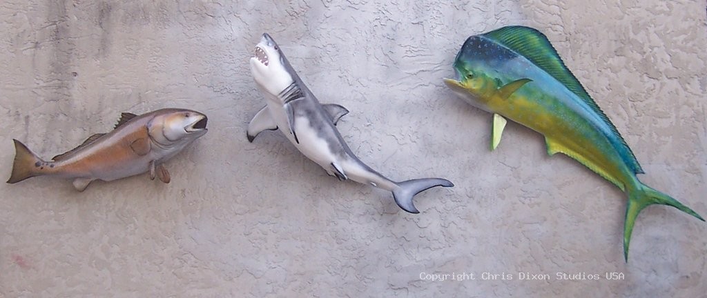 Redfish Greatwhiteshark Mahimahi