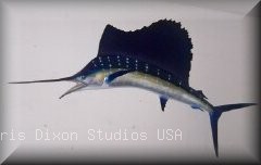 Sailfish Gamefish