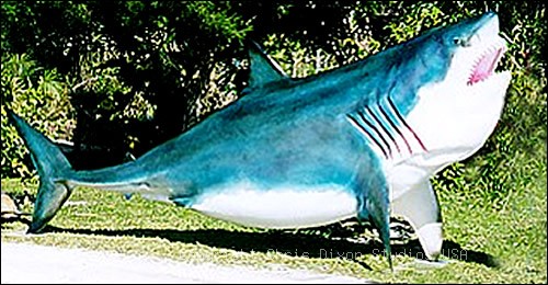 Great White Shark 15