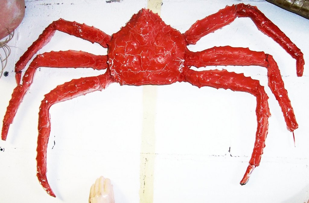 King Crab Legs