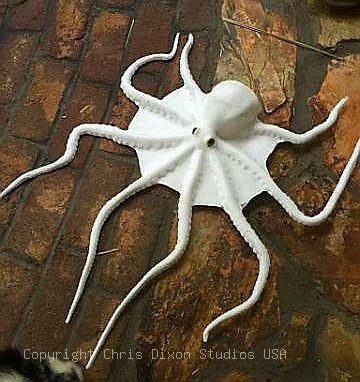 Octopus202