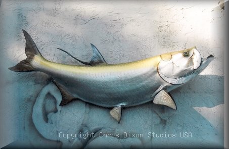Tarpon