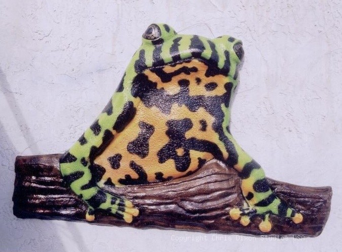 3DFROG