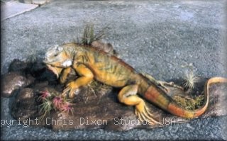 Iguana3