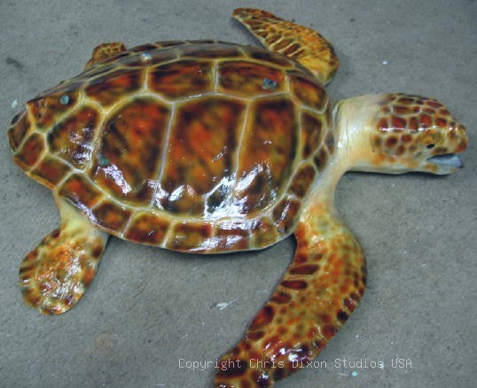 Brownturtle