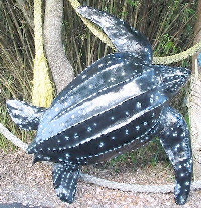 Leatherback