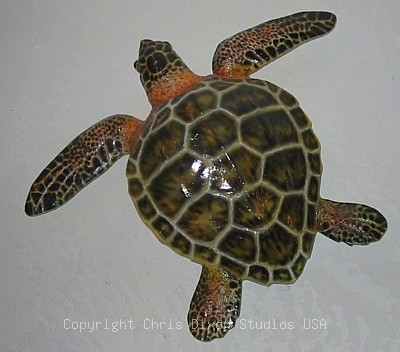 Smallloggerheadturtle2
