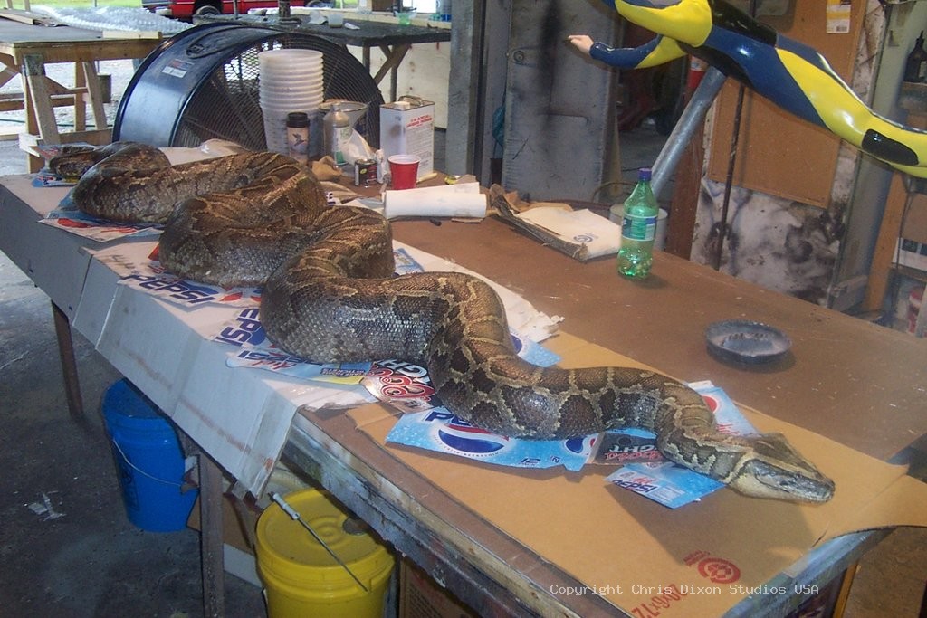 Python2big