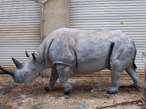 Rhinoceros Side
