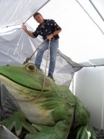 Animal-Interaction