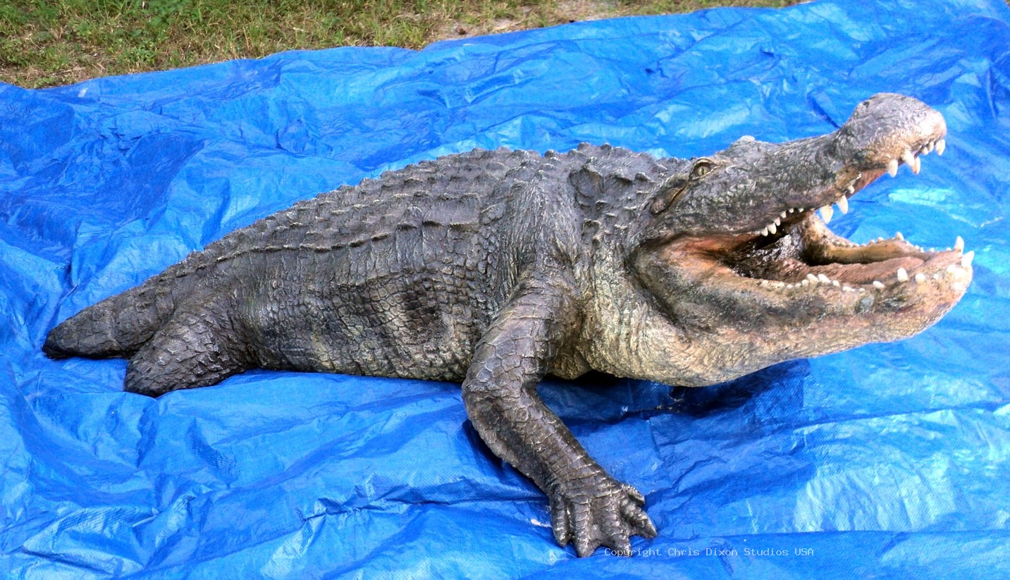 Alligator 15ftPtl 22