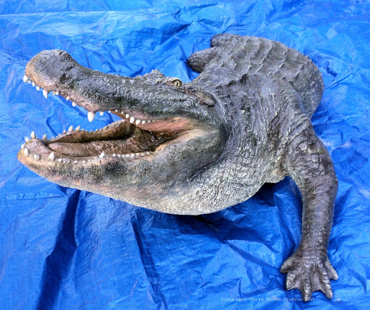 Alligator 15ftPtl 23