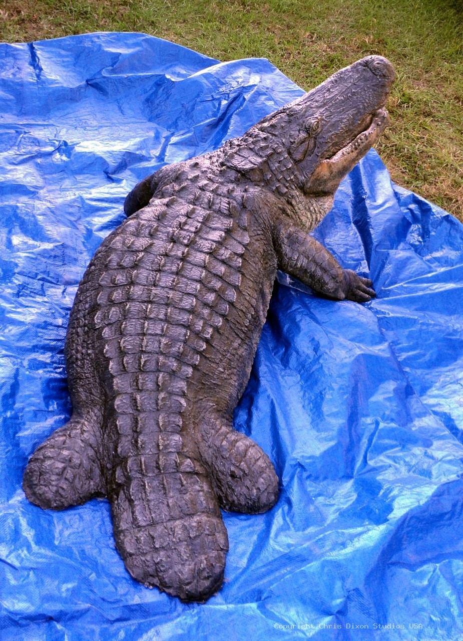 Alligator 15ftPtl 26