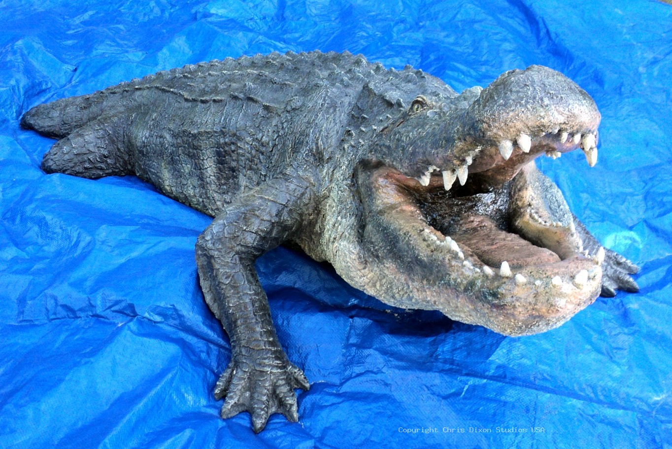Alligator 15ftPtl 29