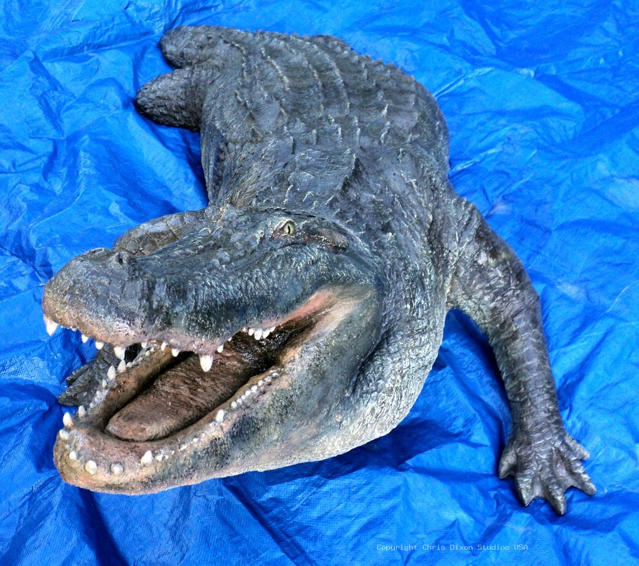 Alligator 15ftPtl 33