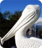 Brasfield-Gorrie-Pelican