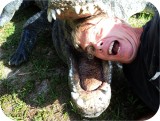 View Alligator-HEAD-Huge-15-feet-594