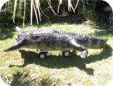 View Alligator-n-Babies-15-feet-630