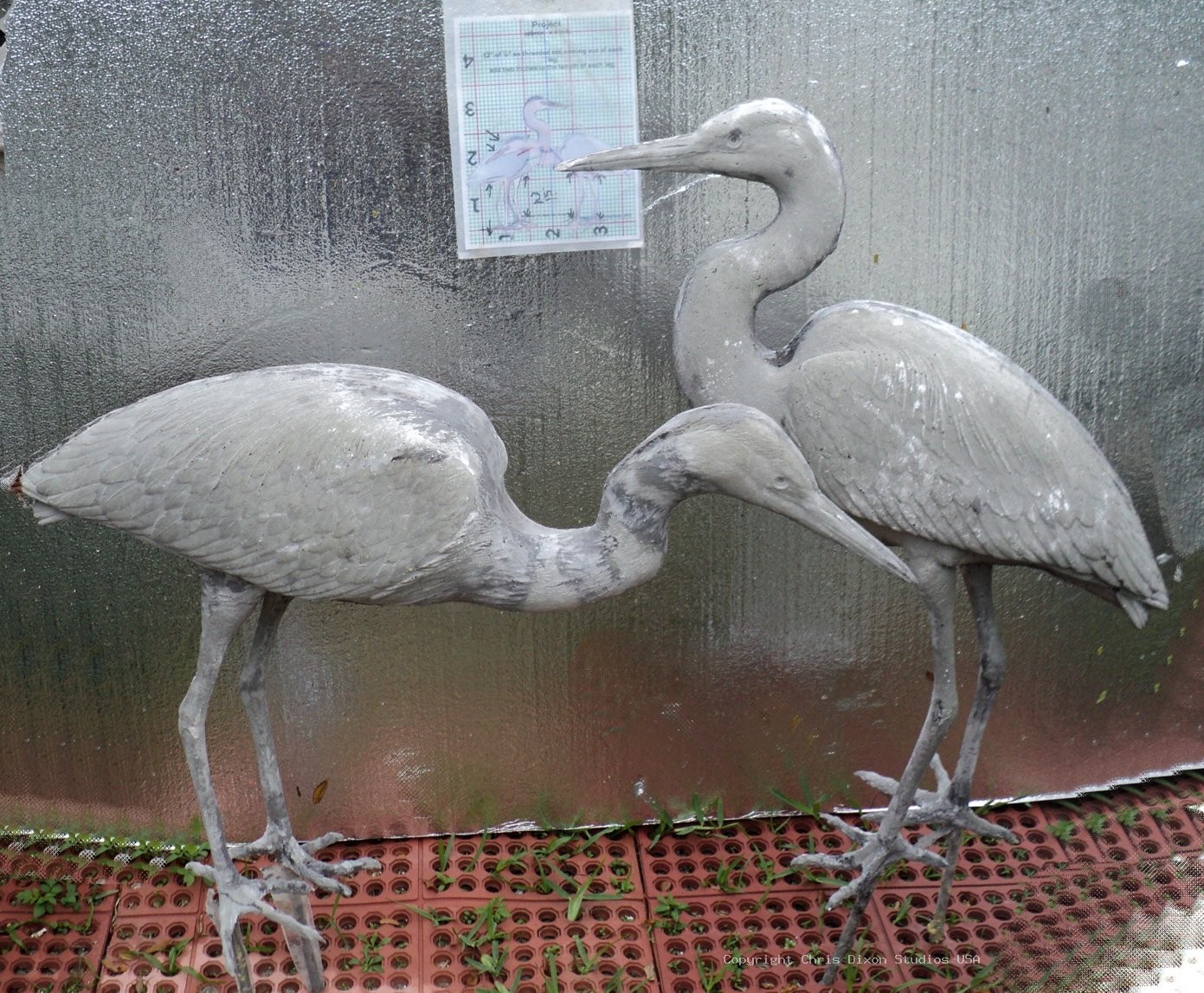Great Blue Herons Custom79