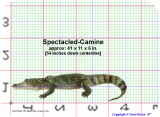 View spectacled-caiman-4ft