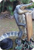 View Alligator-Sign-436