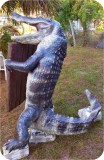 View Alligator-Sign-921