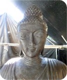 View Buddha-Lotus-COATED-461