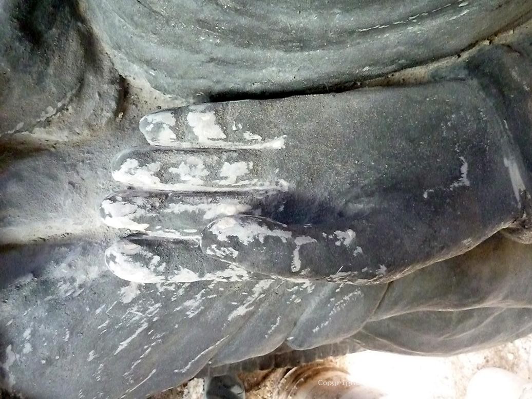 Hand L469