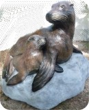 Sea_Lion_Mom-and-Baby